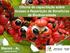 Maceió - AL Agosto de Oficina de capacitação sobre Acesso e Repartição de Benefícios da Biodiversidade