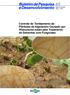 Controle do Tombamento de Plântulas de Algodoeiro Causado por Rhizoctonia solani pelo Tratamento de Sementes com Fungicidas