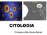 CITOLOGIA. Professora:Me.Gilcele Berber