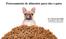 Processamento de alimentos para cães e gatos. M. V. Mayara Aline Baller Nutrição de Cães e Gatos FCAV/Unesp-Jaboticabal