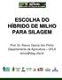 ESCOLHA DO HÍBRIDO DE MILHO PARA SILAGEM. Prof. Dr. Renzo Garcia Von Pinho Departamento de Agricultura UFLA