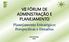 Planejamento Estratégico: Perspectivas e Desafios Guaramiranga 2018