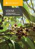 Valorização econômica do reflorestamento com espécies nativas VERENA 3