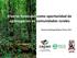 Viveros forestales como oportunidad de agronegocios en comunidades rurales. Severino Rodrigo Ribeiro Pinto, Phd.
