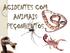 ACIDENTES COM ANIMAIS PEÇONHENTOS