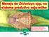 Manejo de Dichelops spp. no sistema produtivo soja-milho