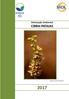 Declaração Ambiental CIBRA-PATAIAS. Epipactis lusitanica (Orquídea)