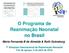 O Programa de Reanimação Neonatal no Brasil. Maria Fernanda B de Almeida & Ruth Guinsburg