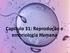 Capítulo 31: Reprodução e embriologia humana