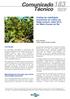 Análise da viabilidade econômica do cultivo do feijão-comum, safra 2013, em Mato Grosso do Sul