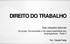 DIREITO DO TRABALHO. Das relações laborais. Do grupo, Da sucessão e Da responsabilidade dos empregadores. Parte II. Prof.