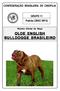 OLDE ENGLISH BULLDOGGE BRASILEIRO