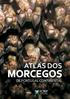 MORCEGOS ATLAS DOS DE PORTUGAL CONTINENTAL