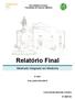 Relatório Final. Mestrado Integrado em Medicina. Nova Medical School Faculdade de Ciências Médicas 6º ANO. Ano Lectivo 2014/2015