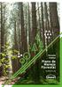 Resumo Público Plano de Manejo Florestal