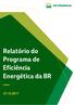 Relatório do Programa de Eficiência Energética da BR