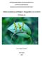 Estudos taxonômicos, morfológicos e biogeográficos em Acianthera. (Orchidaceae)