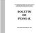 UNIVERSIDADE FEDERAL DE MINAS GERAIS PRÓ-REITORIA DE RECURSOS HUMANOS DEPARTAMENTO DE ADMINISTRAÇÃO DE PESSOAL BOLETIM DE PESSOAL