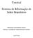 Tutorial. Sistema de Informação de Solos Brasileiros. Elaborado por: Henri Rodrigues Zurmely Revisado e coordenado por: Stanley Robson de M.