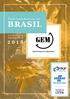 Empreendedorismo no BRASIL. relatório executivo Global Entrepreneurship Monitor
