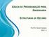 LÓGICA DE PROGRAMAÇÃO PARA ENGENHARIA ESTRUTURAS DE DECISÃO. Prof. Dr. Daniel Caetano