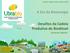 Unicamp, Campinas, 26 de novembro de A Era da Bioenergia. Desafios da Cadeia Produtiva do Biodiesel. Donizete Tokarski