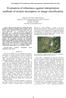 Evaluation of robustness against interpolation methods of texture descriptors in image classification