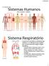 04/06/2018. APP: Human Body (Male) Sistemas Humanos. Prof. Leonardo F. Stahnke. Sistema Respiratório