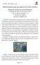 Manual de fabricação para placas de circuito impresso utilizando método da fototranferência