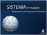 SISTEMA IP-PLANOS. Planejamento e Acompanhamento Empresarial