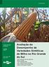 Avaliação do Desempenho de Variedades Sintéticas de Milho no Rio Grande do Sul COMUNICADO TÉCNICO