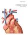 Órgãos Internos PROMETHEUS. Atlas de Anatomia