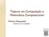 Tópicos em Computação e Matemática Computacional. Professor Responsável: Ricardo J. G. B. Campello