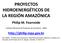 PROYECTOS HIDROENERGÉTICOS DE LA REGIÓN AMAZÓNICA