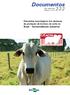 Documentos. ISSN X Dezembro, Demandas tecnológicas dos sistemas de produção de bovinos de corte no Brasil Sustentabilidade ambiental