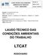 LAUDO TÉCNICO DAS CONDIÇÕES AMBIENTAIS DE TRABALHO LTCAT - RODOVIÁRIO