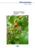 Documentos. Manual de Curadores de Germoplasma Vegetal: Glossário. ISSN Julho, Foto: Antonieta Nassif Salomão