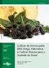 Cultivar de Amora-preta BRS Xingu: Alternativa à Cultivar Brazos para o Sudeste do Brasil COMUNICADO TÉCNICO