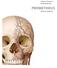 Cabeça, Pescoço e Neuroanatomia PROMETHEUS. Atlas de Anatomia