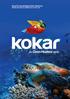 Textura Decorativa Tradicional Premium Kokar