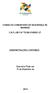 CONSELHO COMUNITARIO DE SEGURANÇA DE MARINGÁ C.N.P.J./M.F.N.º / DEMONSTRAÇÕES CONTÁBEIS. Exercício Findo em 31 de Dezembro de