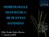 MORFOLOGIA E SISTEMÁTICA DE PLANTAS DANINHAS. Arthur Arrobas Martins Barroso 1 Semestre de 2018