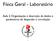 Física Geral - Laboratório. Aula 2: Organização e descrição de dados e parâmetros de dispersão e correlação