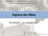 6º Seminário Prevenção e Controlo de Infeção ERPI e UCCI Associação Portuguesa de Infeção Hospitalar Higiene das Mãos