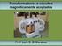 Transformadores e circuitos magneticamente acoplados. Prof. Luis S. B. Marques