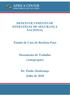 DESENVOLVIMENTO DE ESTRATÉGIA DE SEGURANÇA NACIONAL. Estudo de Caso de Burkina Faso. Documento de Trabalho (Anteprojeto)