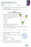 Novo Espaço Matemática A 11.º ano Proposta de teste de avaliação [outubro 2018]