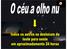 Deslocam-se em bloco de leste para oeste. Pontos de nascer e ocaso sempre os mesmos. Uma volta a cada 24 horas aproximadamente.