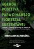 Agenda Positiva para o Manejo Florestal Sustentável