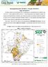 Acompanhamento de Safra Circular 297/2019 Soja-2018/2019